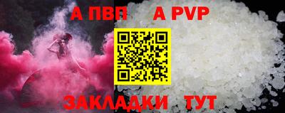 СК Кингисепп