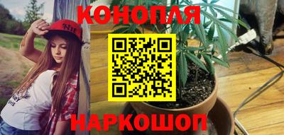 СК Кингисепп