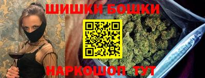 СК Кингисепп