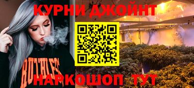 СК Кингисепп