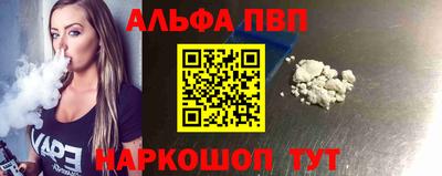 СК Кингисепп