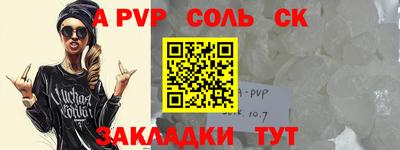 СК Кингисепп