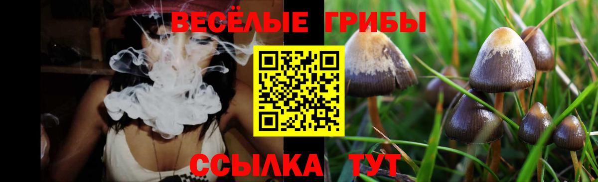 купить наркотик  Псилоцибиновые грибы GOLDEN TEACHER  Вход с VPN  Псилоцибиновые грибы прущие грибы  Электросталь 